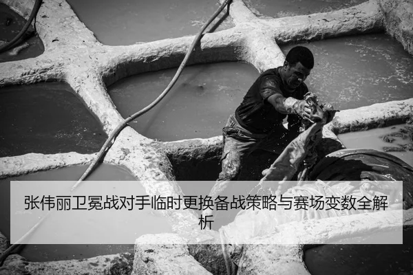 张伟丽卫冕战对手临时更换备战策略与赛场变数全解析